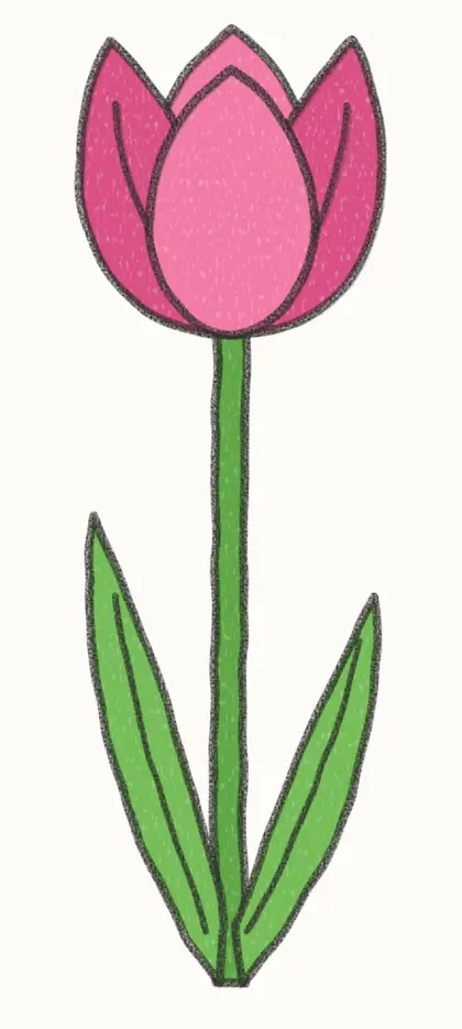 Finished cartoon tulip drawing, coloured
