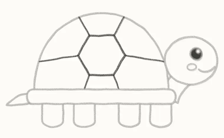 How to Draw a Cartoon Turtle, step 6: draw the shell pattern