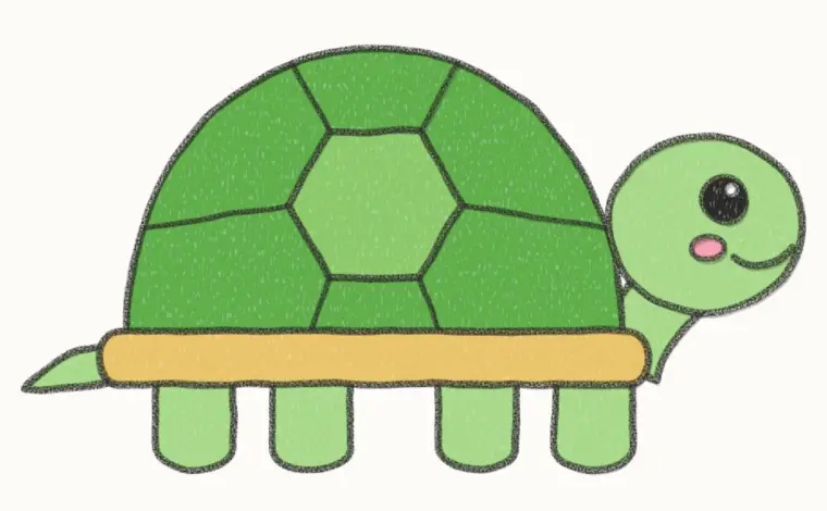 How to Draw a Cartoon Turtle, step 7 of 7: color your turtle, pencil drawing