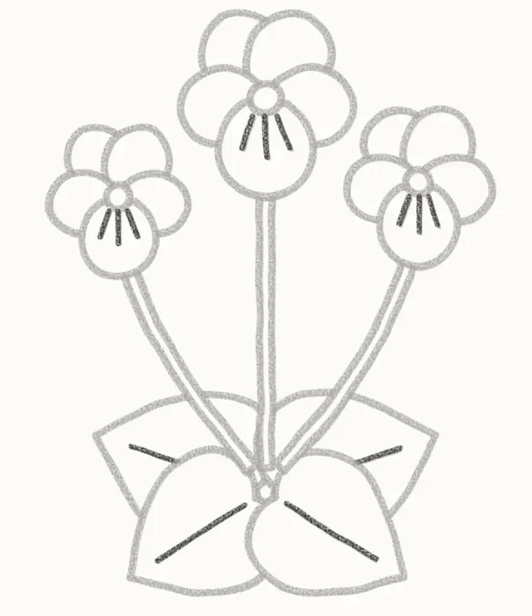 How to Draw a Cartoon Violet, step 6: add the lines