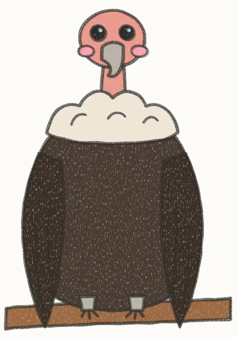 How to Draw a Cartoon Vulture, step 7 of 7: color your vulture, pencil drawing