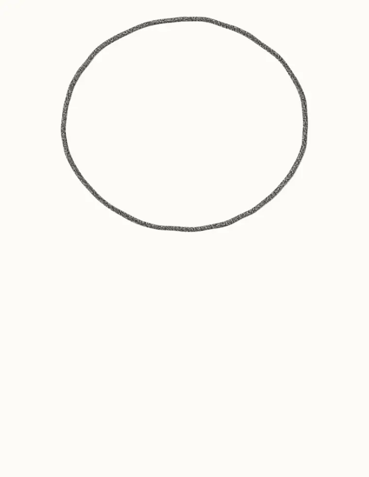 How to Draw a Cartoon Walrus, step 1: draw the head