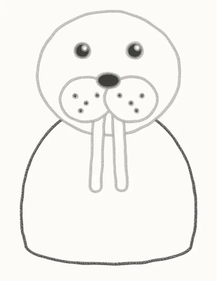 How to Draw a Cartoon Walrus, step 5: draw the body