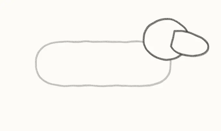 How to Draw a Cartoon Wiener Dog, step 2: add the head and snout