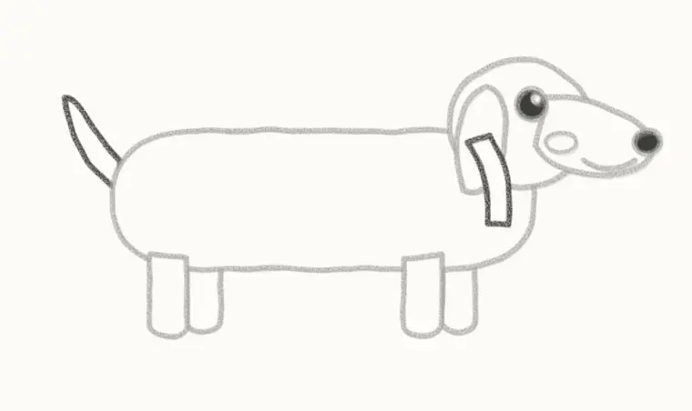 How to Draw a Cartoon Wiener Dog, step 5: add the tail and collar
