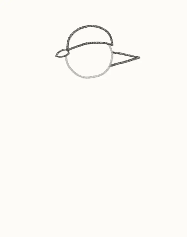 How to Draw a Cartoon Woodpecker, step 2: add the red cap and beak