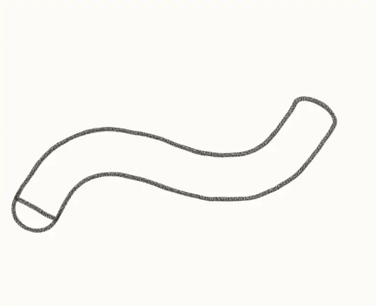 How to Draw a Cartoon Worm, step 1: draw the wiggly body