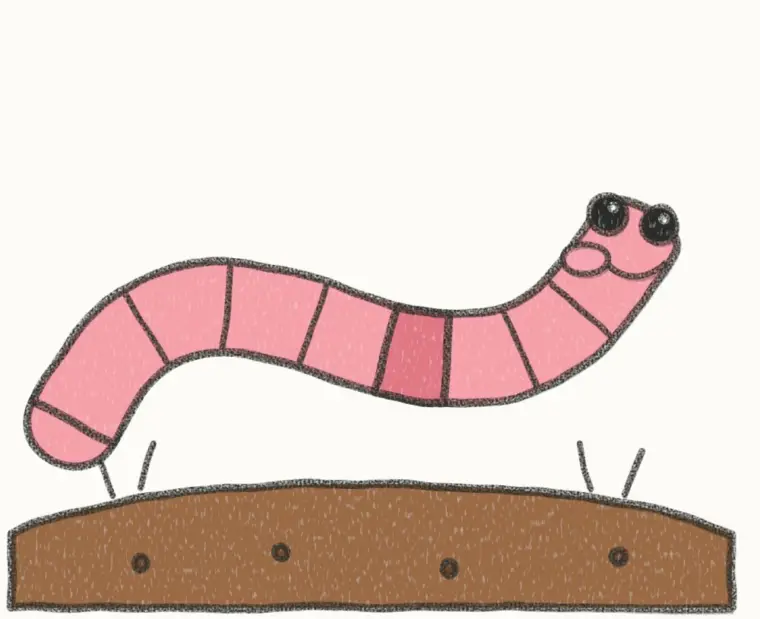 How to Draw a Cartoon Worm, step 7 of 7: color your worm, pencil drawing